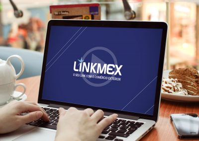 Animated Videos – Linkmex